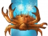 kingcrab
